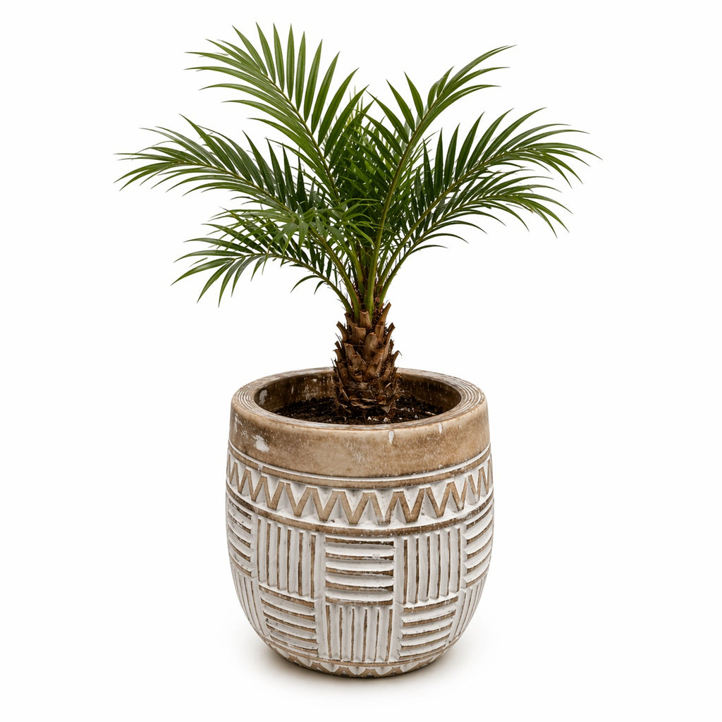 Handgemaakte houten Bloempot Boho – Beige/Wit Patroon – Handgemaakt Look