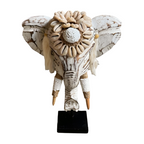 elephant-head-shell