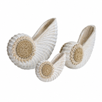 Shell Amara