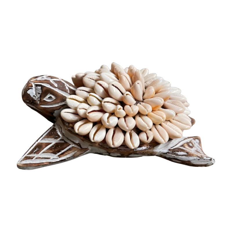 turtle-shell maat S